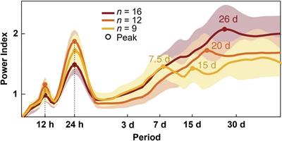 Chronobiology of epilepsy and sudden unexpected death in epilepsy